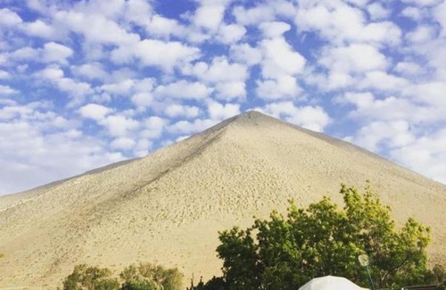 Vicuna Otro | Glamping Viñas de Elqui