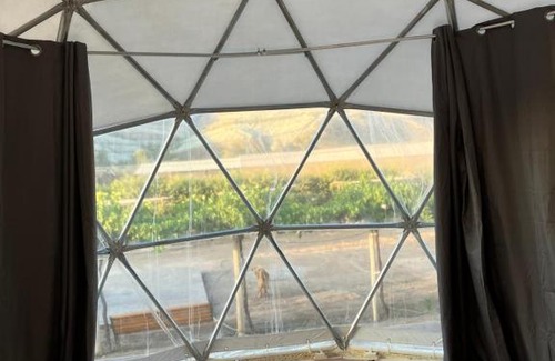 Vicuna Otro | Glamping Viñas de Elqui