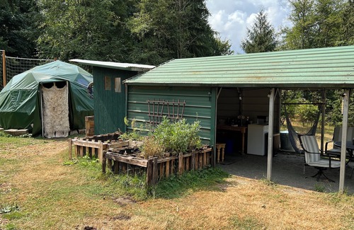 Duvall Casa | Glamping With Alpacas in an Eco-Friendly Dome Outside of Seattle