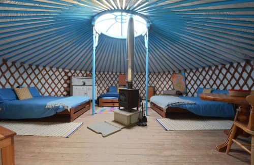 Newquay Otro | Glamping Yurts near Newquay