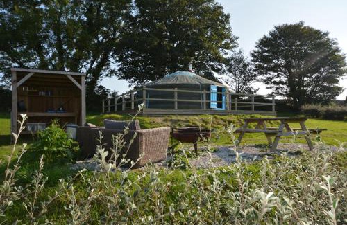Newquay Otro | Glamping Yurts near Newquay