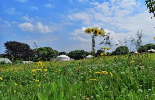 Newquay Otro | Glamping Yurts near Newquay