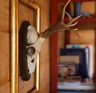 Apfelstadtaue Apartamento | Glampinghütte Georgenthal