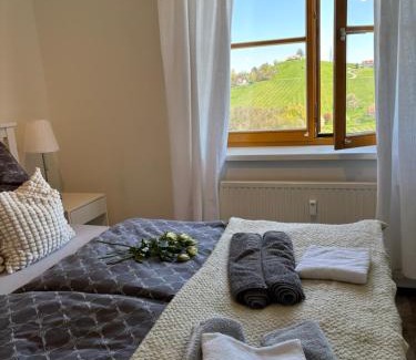 Glanz an der Weinstrasse Apartamento | Glanz und Gloria Weingartenapartment an der Kellerstraße, viele Buschenschänke, sehr ruhige Lage, herrliche Aussicht!