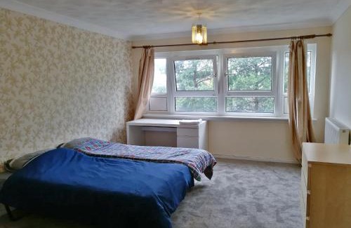 North Glasgow Apartamento | Glasgow Braid Apartment