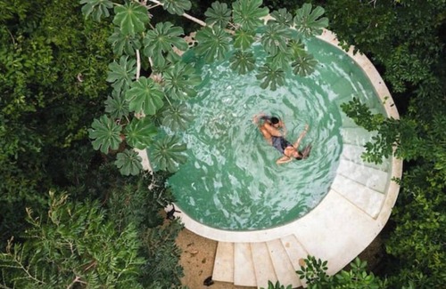 Puerto Morelos Cabaña | Glass House#1 at Glass 20.87