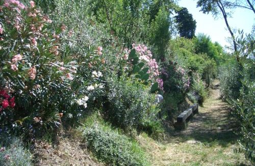 Castelfiorentino Casa | Gli Oleandri