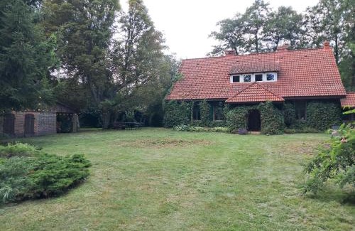 gmina Rojewo Casa | Glinki - Leśna oaza z kominkiem 20 min od Torunia