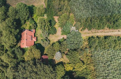 gmina Rojewo Casa | Glinki - Leśna oaza z kominkiem 20 min od Torunia