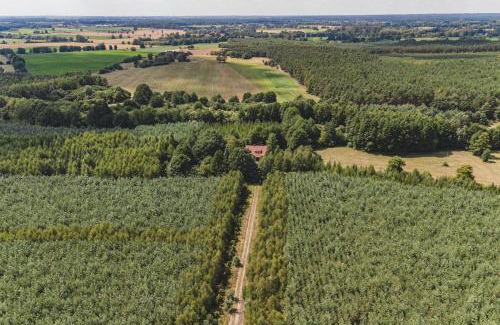 gmina Rojewo Casa | Glinki - Leśna oaza z kominkiem 20 min od Torunia