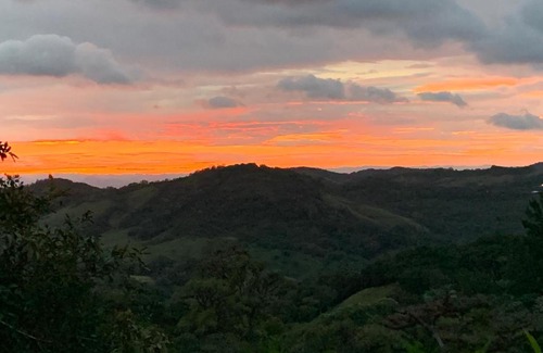Monteverde Cama Y Desayuno | Globi lodge #2
