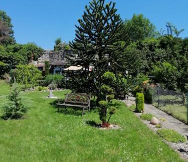 Bad Sooden-Allendorf Apartamento | Glori' s Fewo groß