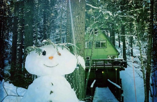 Camp Connell Cabina | Glorious Summer at Cabin on the Creek