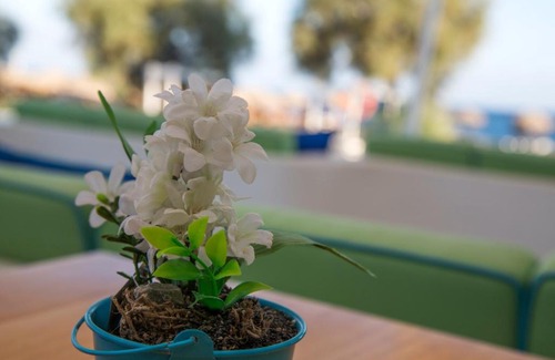 Agios Georgios Apartamento | Glykeria Mini Suites