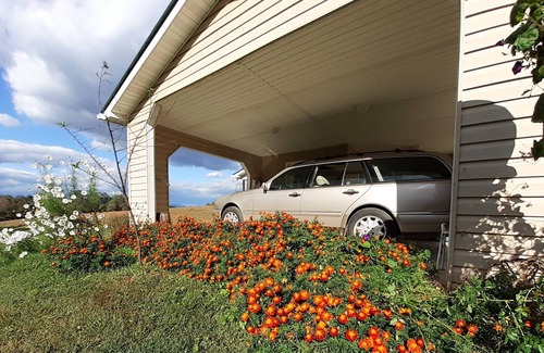 Haywood Cabaña | Gobbler Hill Cottage at Rocky Run Sustainable Farm