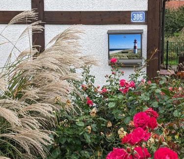 Hollern Casa | Godetied