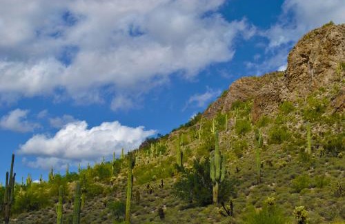 Gold Canyon Complejo | Gold Canyon Golf Resort
