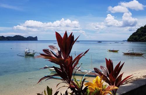 El Nido Hotel | Golden Monkey Beach Hotel