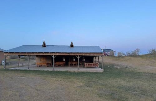 Navoiy Province Otro | GOLDEN Safari YURT CAMP