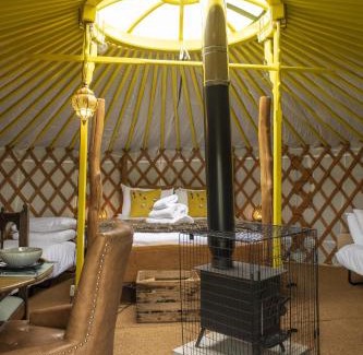 Hawes Casa | Goldfinch