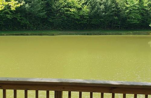 Check Cabina | Gone Fishing & Zipline Retreat