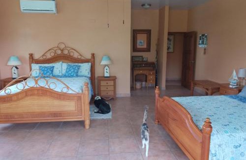 Boca Chica Cama Y Desayuno | Gone Fishing Panama Resort
