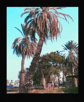 Nejran Casa | Good luck