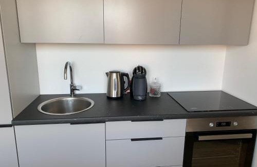 Panevezys Apartamento | Good Night apartaments