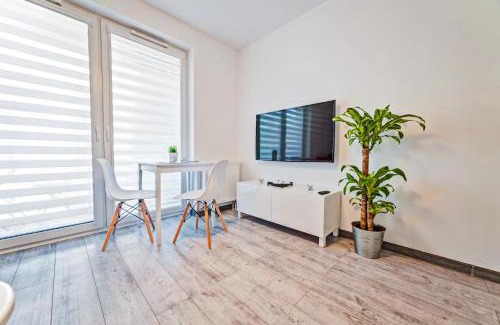 Poznan City Center Apartamento | Good Time Apartments Centrum Strzelecka B