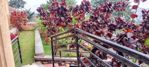 Kampala Casa | Good Times