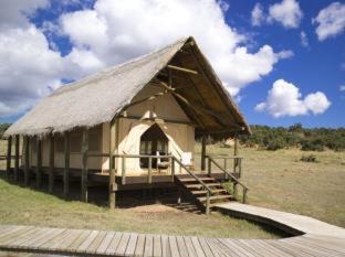 Addo Otro | Gorah Elephant Camp
