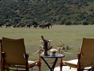 Addo Otro | Gorah Elephant Camp