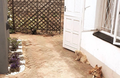 Harare Apartamento | Gorgeous 1-bed Apartment in Harare