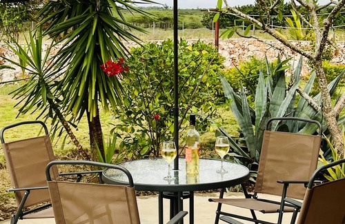 Nord-Est Department Casa | Gorgeous 3 BR Country House – Free WiFi | Parking