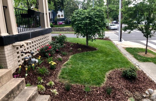 Brightwood Park Casa | Gorgeous 3BR Colonial House with a Backyard Oasis