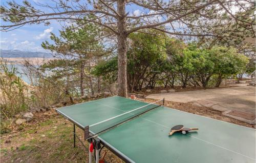 Bosana Apartamento | Gorgeous Apartment In Novalja