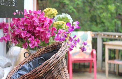 Mono Cabaña | Gorgeous cozy cottage besides a bustling stream, surrounded by gorgeous greenery