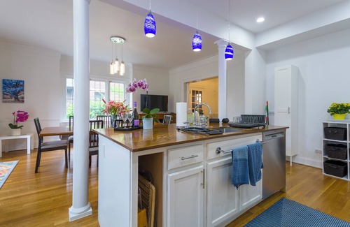 Hyde Park Casa | Gorgeous historic mansion on UChicago campus. Renovation with original detail.