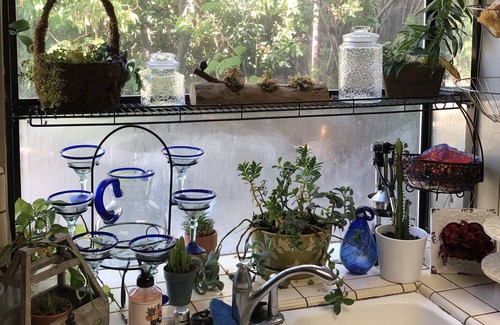 American River Canyon Casa | Gorgeous Home and Tranquil- Host couple is on site.