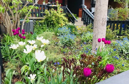 Palmerston Casa | Gorgeous house on quiet residential street in downtown Toronto!