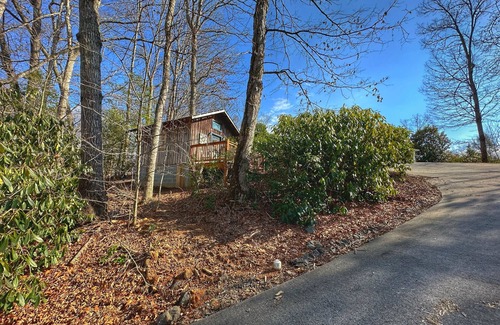 Cullowhee Apartamento | Gorgeous studio cottage less than 1/2 mile from Western Carolina University!