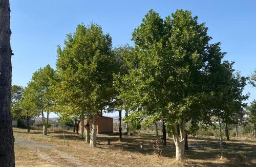Didi Ateni Casa | Gorijvari Resort