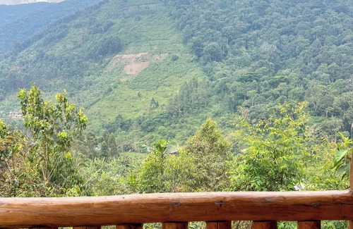 Bwindi Cabina | Gorilla Bluff Lodge