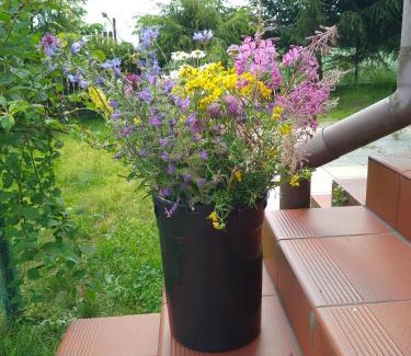 gmina Filipow Casa | Gospodarstwo Agroturystyczne Wólka 34