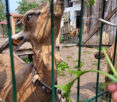 Szczytno Casa | Gospodarstwo Agroturystyczne Kamez