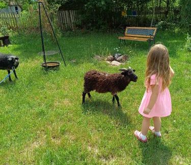 Swietajno Casa | Gospodarstwo Agroturystyczne na Mazurach