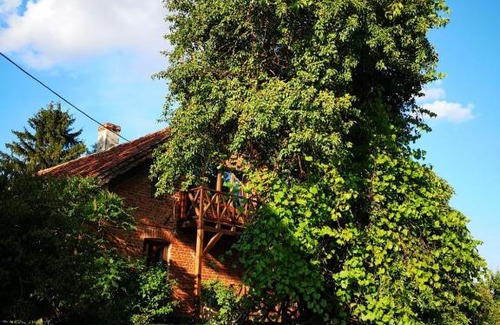 Szeligi Casa | Gospodarstwo Agroturystyczne "Dom na kolonii"