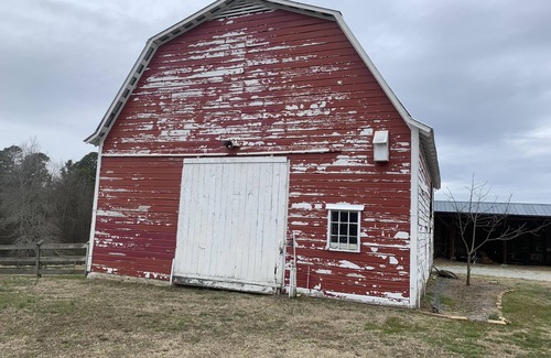 Greensboro Cabina | Got Cabin Fever? - The Pretty Petunia