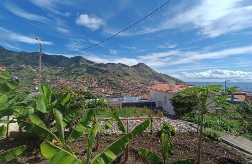 Machico Apartamento | Gouveia Family Escape