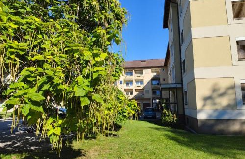 Klagenfurt am Woerthersee Apartamento | Grünerbalkon Ferienappartement